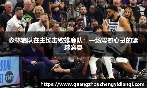 3377体育官网