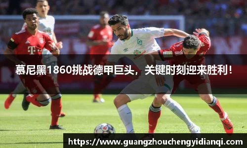 3377体育官网