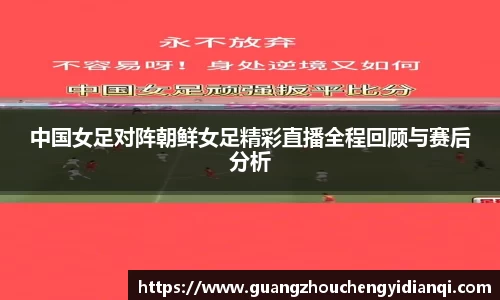 3377体育首页