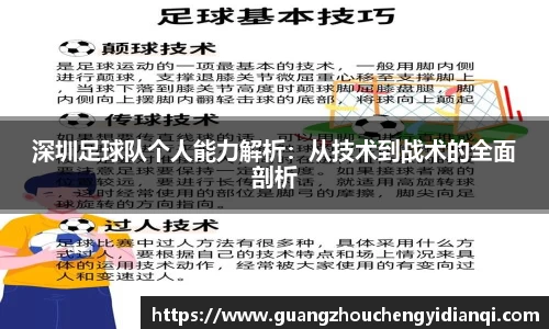 3377体育