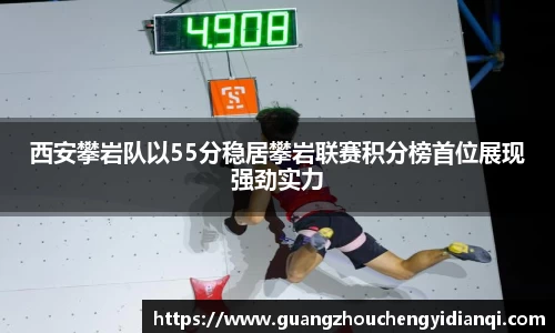 3377体育官网